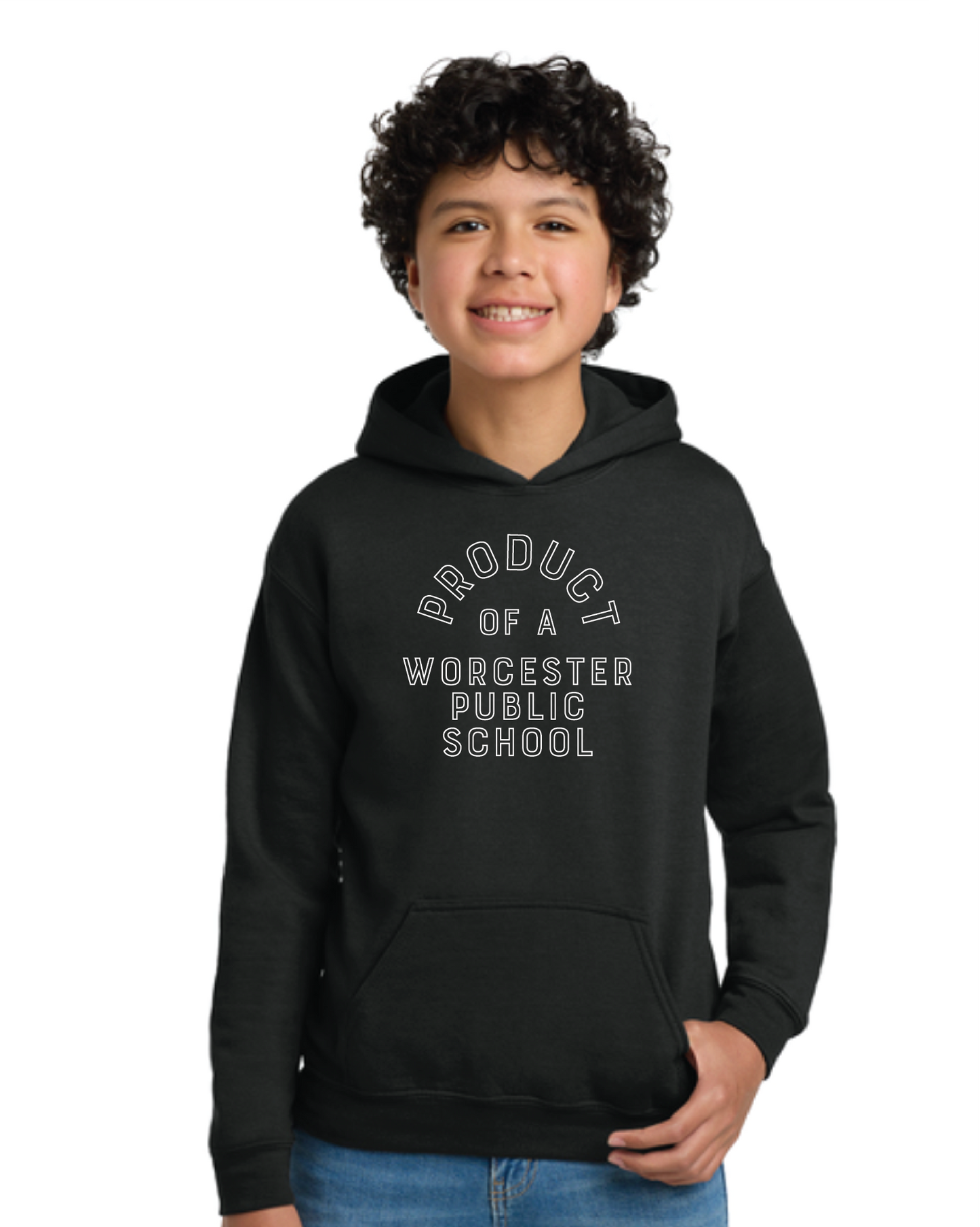 Official Worcester Public Schools Gildan Sweatshirt YOUTH