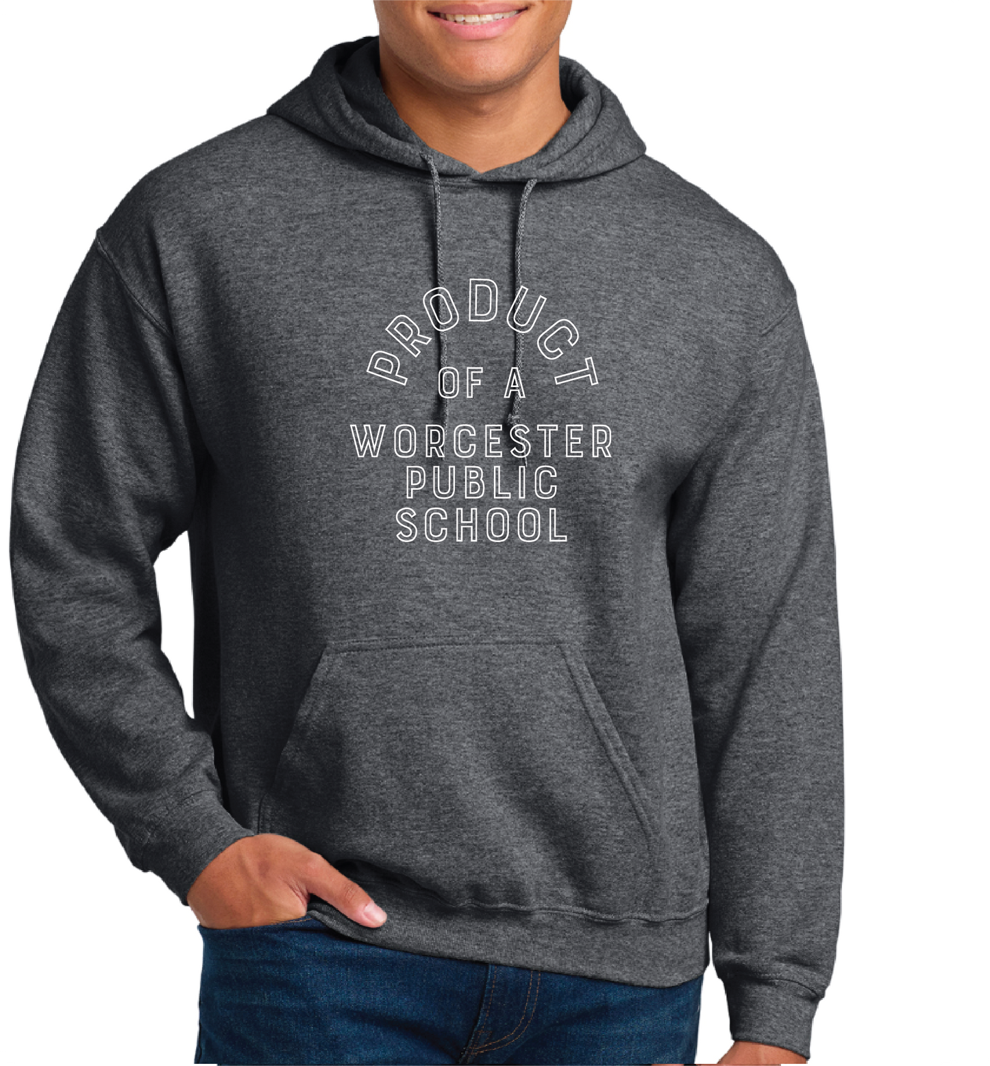 Official Worcester Public Schools Gildan Sweatshirt