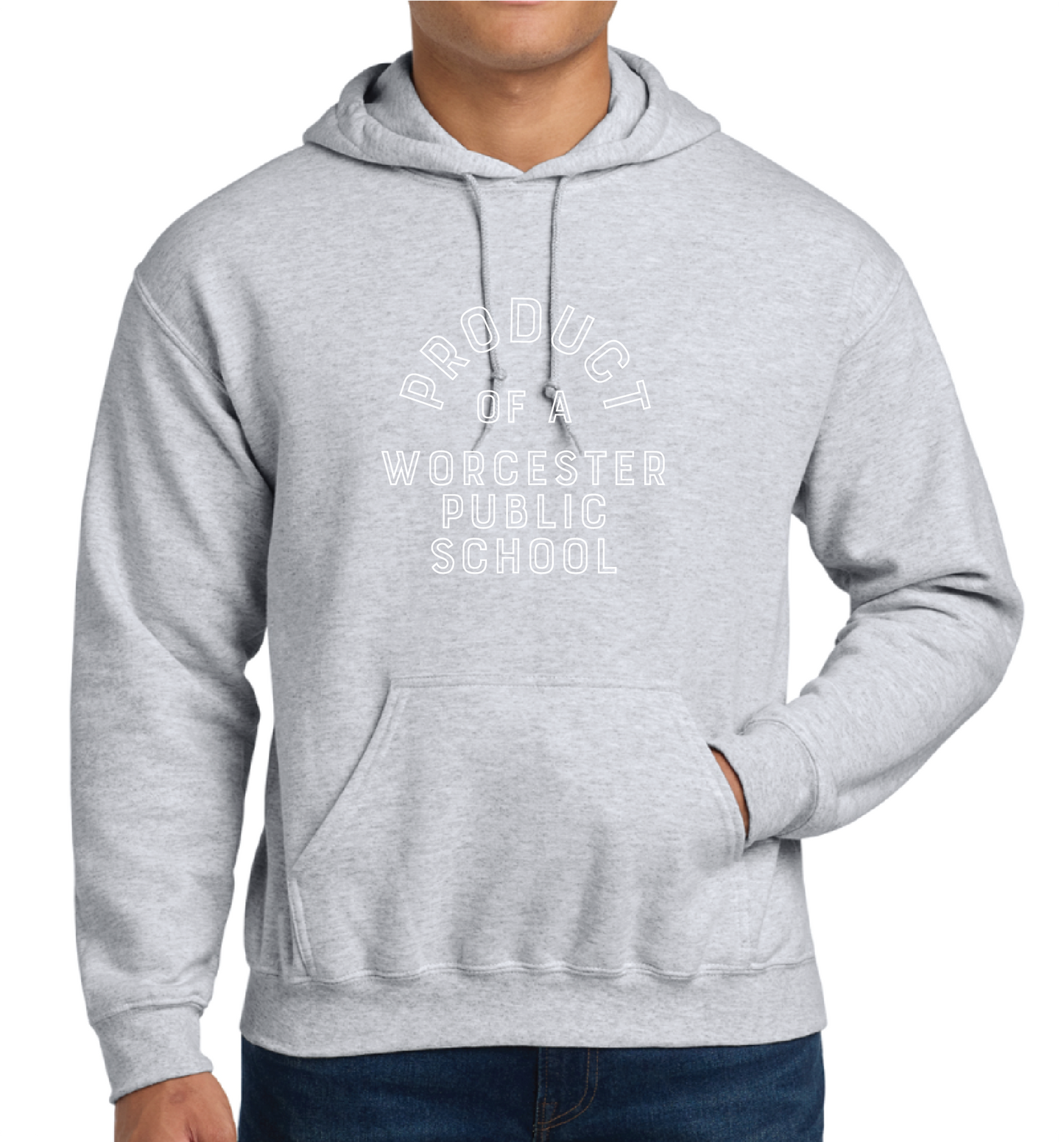 Official Worcester Public Schools Gildan Sweatshirt