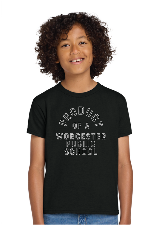 Official Worcester Public Schools Gildan T-shirt YOUTH